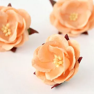 Цветок дикой розы "Персиковый", 1 шт (Craft)
