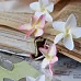 Нож "Плюмерия" 4,8 см (AgiArt) Нож "Плюмерия" 4,8 см (AgiArt)