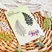 Нож "Веточка. Экзотика", 6,8х3,3 см (AgiArt)