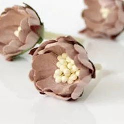 Цветок шиповника "Кофе с молоком", 1 шт (Craft) Цветок шиповника "Кофе с молоком", 1 шт (Craft)