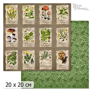 20х20 Бумага "Ворожея. Дизайн 5" (ScrapMania)