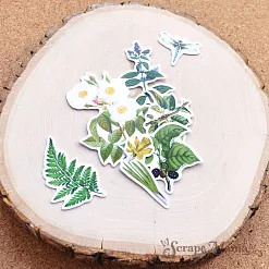 Набор высечек из бумаги "Заповедник", 43 шт (ScrapMania) Набор высечек из бумаги "Заповедник", 43 шт (ScrapMania)