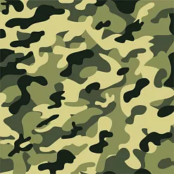 Бумага "Дембельский альбом. Камуфляж" (ScrapMania) Бумага "Дембельский альбом. Камуфляж" (ScrapMania)