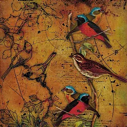 Бумага "Птички 3"