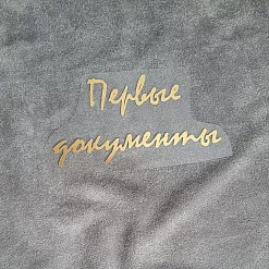 Термотрансферная наклейка "Надпись золотая. Первые документы", 10х5,2 см (Термо-Панда)