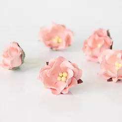 Цветок яблони "Розово-персиковый светлый", 1 шт (Craft)