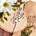 Чипборд "Вишнёвый цвет", 10х4,5 см (WoodHome) Чипборд "Вишнёвый цвет", 10х4,5 см (WoodHome)