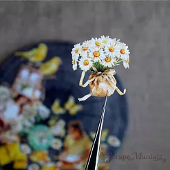 Набор высечек из ткани "Сезон ромашек", 28 шт (ScrapMania)