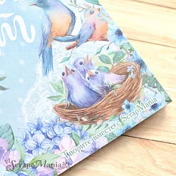 Блокнот на пружине А6 "Наше гнездышко", 16 листов (ScrapMania)