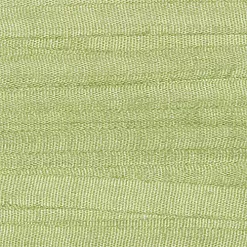 Лента шелковая светло-салатовая, ширина 1,3 см, длина 9 м (Gamma) Лента шелковая светло-салатовая, ширина 1,3 см, длина 9 м (Gamma)