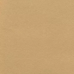 Кардсток текстурированный 30х30 см, латте (Рукоделие)