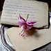 Нож "Фуксия" (Scrapfriend) Нож "Фуксия" (Scrapfriend)