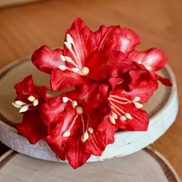 Букет лилий "Красный", 5 шт (Craft)