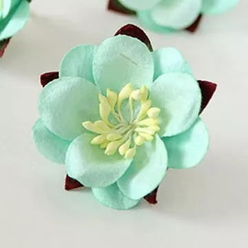 Цветок сакуры "Мятный" (Craft) Цветок сакуры "Мятный" (Craft)