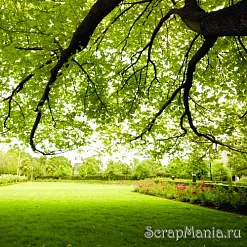 Бумага "Пейзаж" (Rayher) Бумага "Пейзаж" (Rayher)