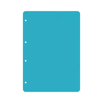 Набор пластиковых листов А4 "Прозрачные вертикальные. Скругленный угол. 4 отверстия", толщина 0,5 мм (CraftStory)