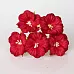 Букет вьюнков "Красный", 5 шт (Craft)