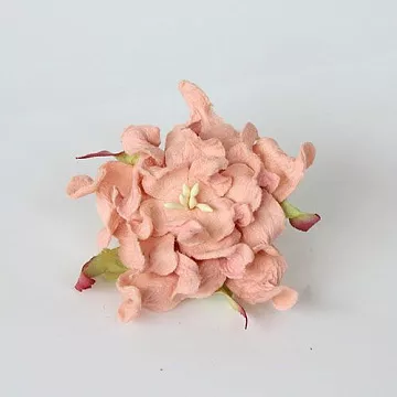 Гардения большая "Розово-персиковая светлая", 7 см, 1 шт (Craft)