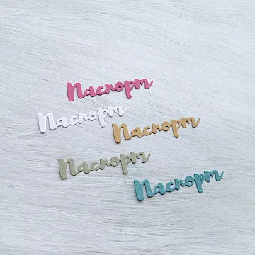 Набор вырубок "Паспорт", цвет микс Набор вырубок "Паспорт", цвет микс