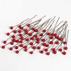 Набор ягод "Темно-красные"