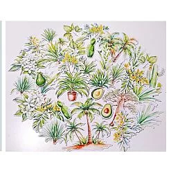 Набор высечек "Сафари-растительный мир", 33 шт (ScrapbookDesigns)