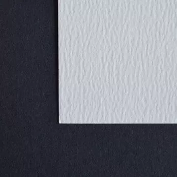 Бумага Ривс Базан, цвет белый, кожа (Zebra creative)