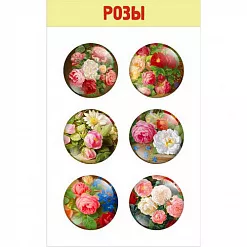 Липки "Розы"