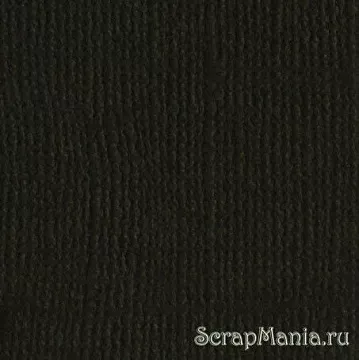 Кардсток Bazzill Basics 30,5х30,5 см однотонный с текстурой холста, цвет темный коричневый
