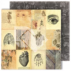 Набор бумаги 30х30 см "Homo sapiens", 12 листов (DreamLight Studio)