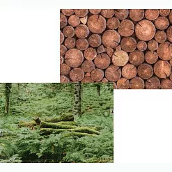 Набор бумаги А4 "Лес", 12 листов (Scrapodelie) Набор бумаги А4 "Лес", 12 листов (Scrapodelie)