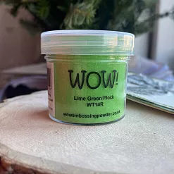Пудра флоковая "Lime green. Зеленый лайм" (WOW) Пудра флоковая "Lime green. Зеленый лайм" (WOW)