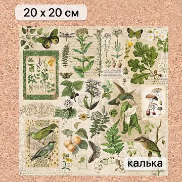Калька 20х20 см "Заповедник 03", плотность 110 гр/м2 (ScrapMania)