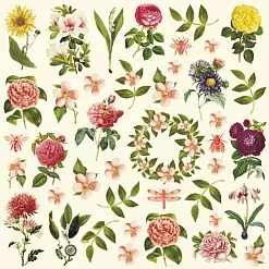 Бумага "Летняя феерия. Картинки" (ScrapMania)