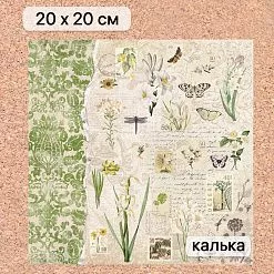 Калька 20х20 см "Заповедник 07", плотность 110 гр/м2 (ScrapMania)