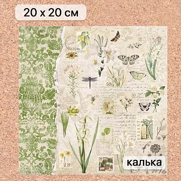Калька 20х20 см "Заповедник 07", плотность 110 гр/м2 (ScrapMania)