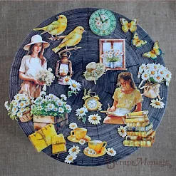 Набор высечек из ткани "Сезон ромашек", 28 шт (ScrapMania)