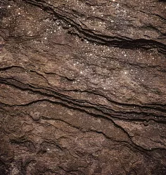 Бумага "Enigma. Лист 02" (Scrapodelie) Бумага "Enigma. Лист 02" (Scrapodelie)