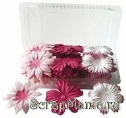 Цветы "Розовое счастье" (Irene's Garden) Цветы "Розовое счастье" (Irene's Garden)