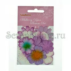 Набор бумажных цветочков "Сиреневый" (ScrapBerry's)