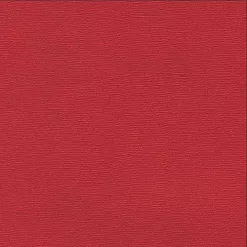 Кардсток текстурированный 30х30 см, пунцовый (Рукоделие) Кардсток текстурированный 30х30 см, пунцовый (Рукоделие)