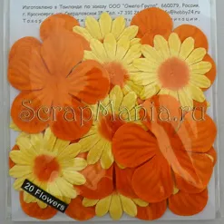 Набор цветов "Спелый апельсин" (Hobby24) Набор цветов "Спелый апельсин" (Hobby24)