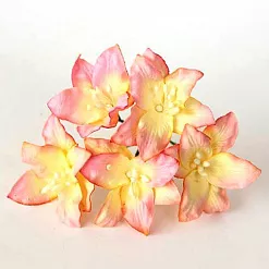 Букет лилий "Розовый с желтым", 5 шт (Craft)