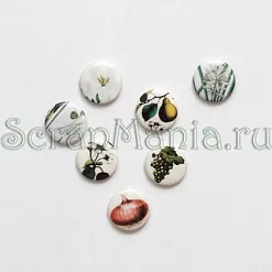 Набор мини-фишек "Урок биологии"