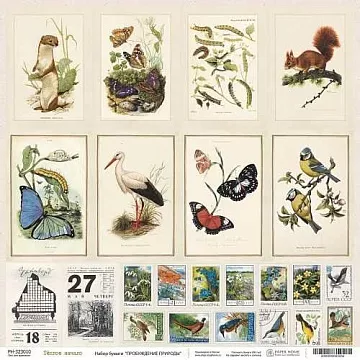 Бумага 30х30 см "Пробуждение природы. Карточки. Тёплое начало" (PaperHome)