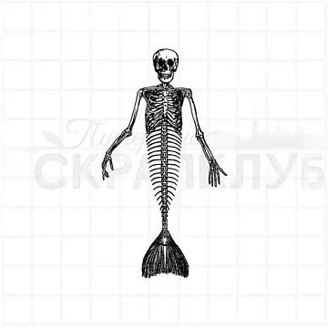 Штамп "Премудрый пескарь", 4,2х7,5 см (Скрапклуб)