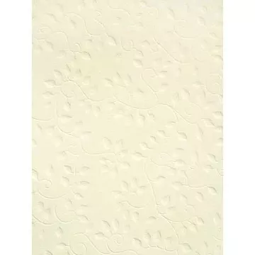 Бумага А4 "Firenze. Шампанское" с тиснением (Heyda)