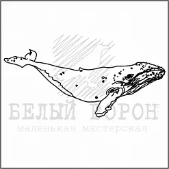 Штамп "Кит хвостик вверх" (Белый ворон)