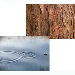 Набор бумаги А4 "Лес", 12 листов (Scrapodelie) Набор бумаги А4 "Лес", 12 листов (Scrapodelie)