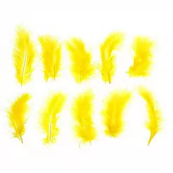 Набор перьев "Желтый"
