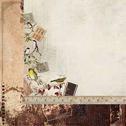 Бумага "Anthology. Ornithology" (Kaiser) Бумага "Anthology. Ornithology" (Kaiser)